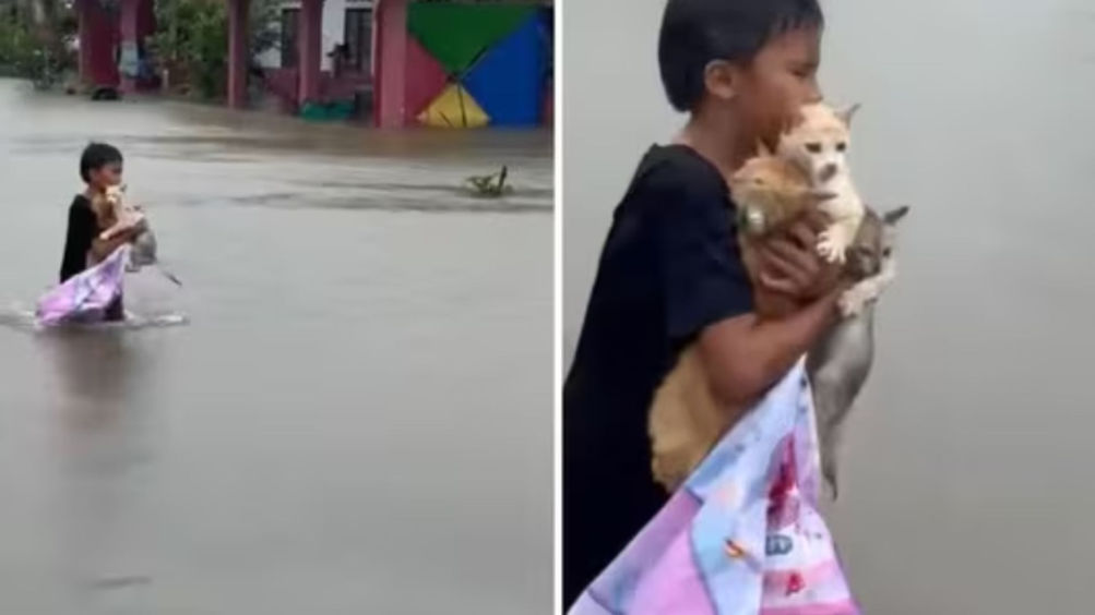 Boy’s Kindness Amidst Devastating Floods in Southern Thailand Captured in Viral Video