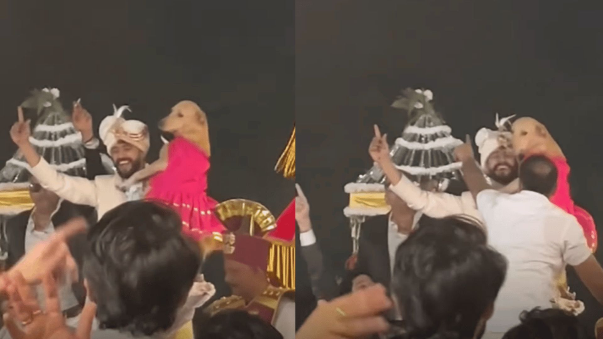 Groom’s Paw-Dorable Dance With Pet Dog During Baraat Captures Hearts | WATCH