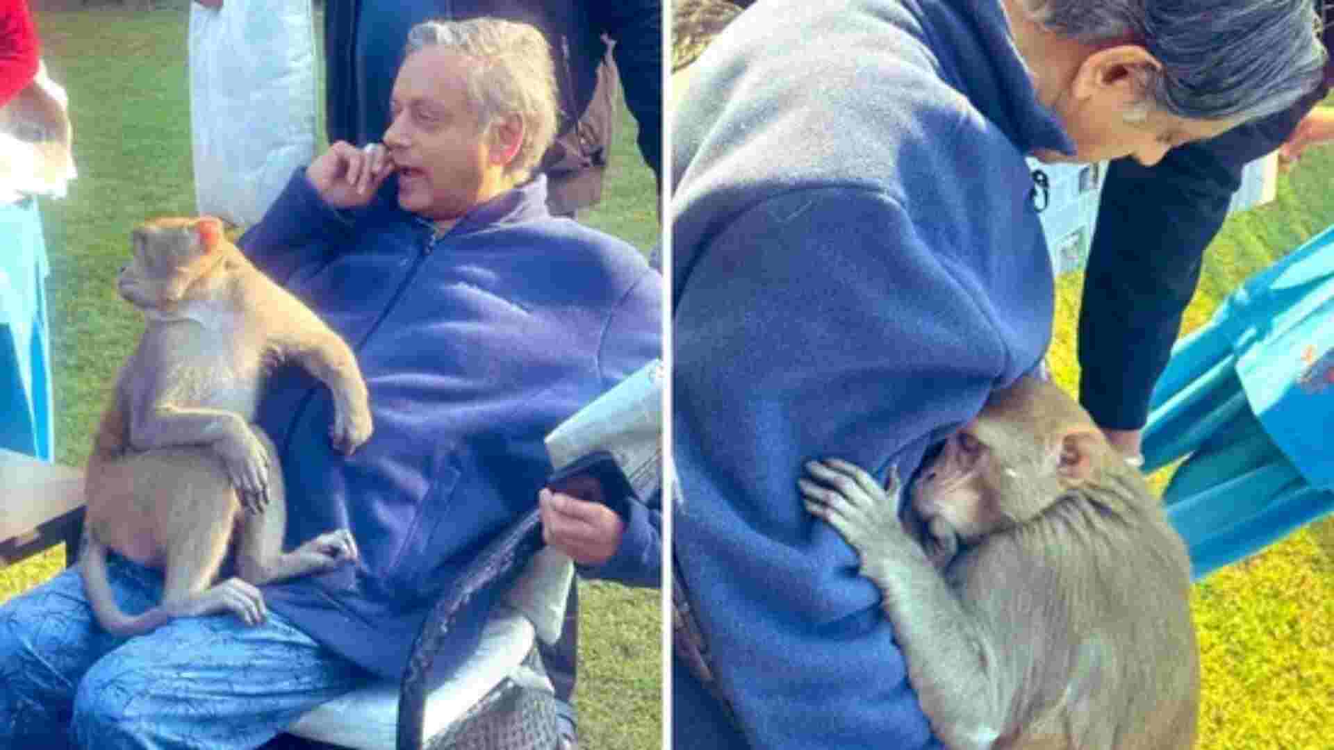 Monkey Sits On Shashi Tharoor’s Lap, Hugs Him | SEE PICS