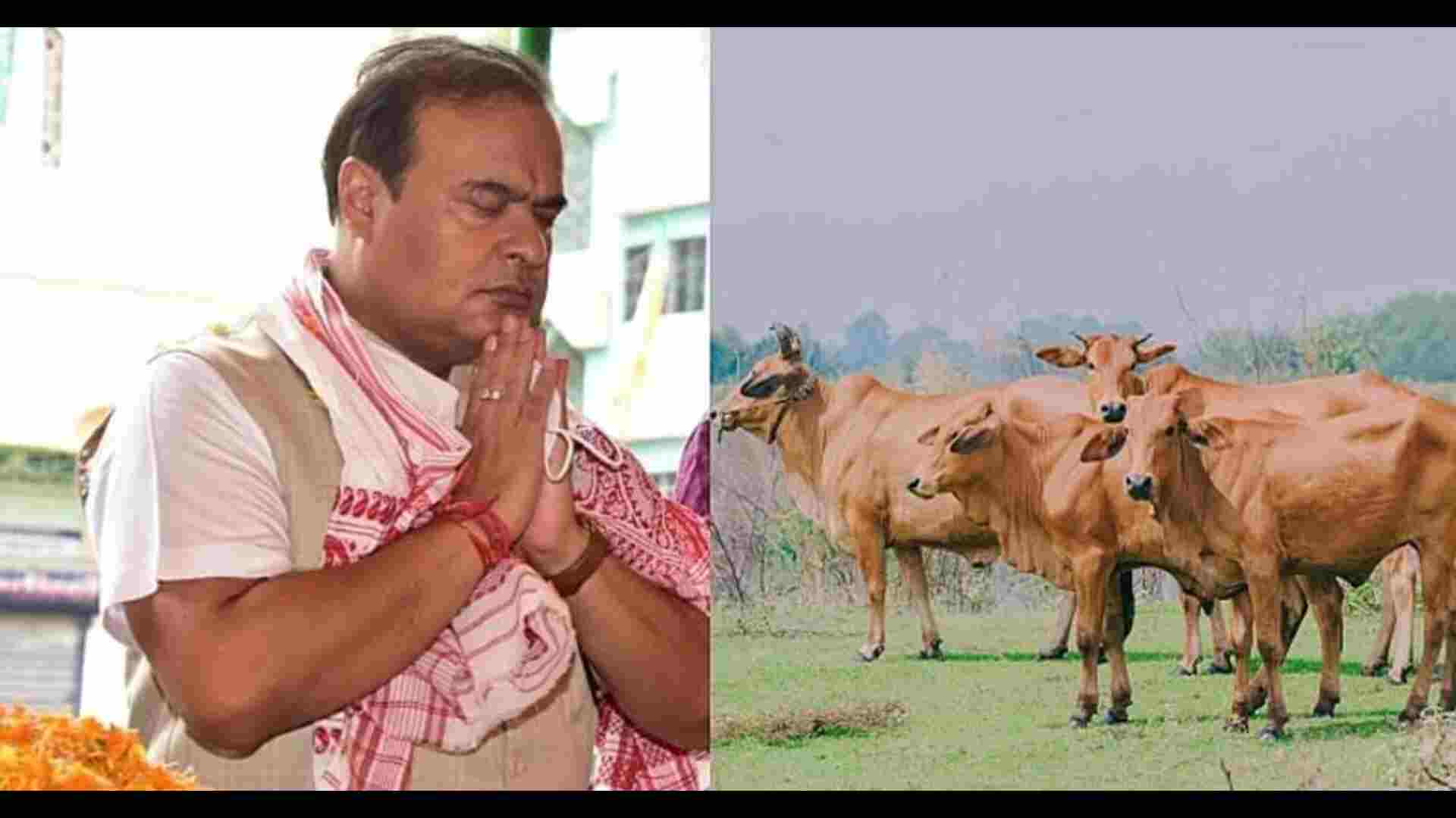 Assam: Decision to band beef questioned by Opposition parties