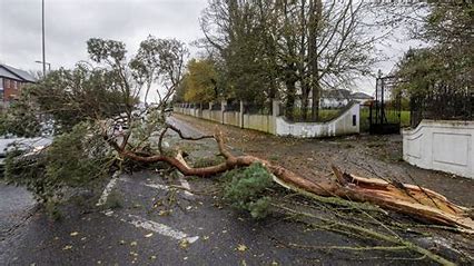 22,000 Without Power In Northern Ireland After Storm Darragh